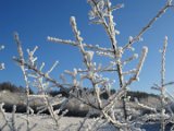 2022-12-15 - Bierberg (10a)